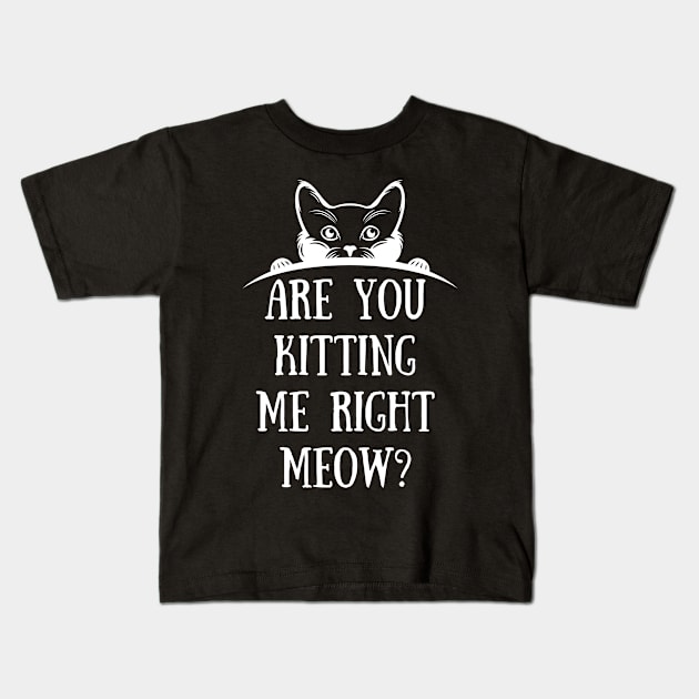 are You Kitten Me Right Meow Kids T-Shirt by FalconPod